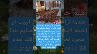 عندما ترا مثل هذا امام البيت او الشقه لاتخاف تتحرك وتقتلهم هذا مجرد نحل يسافر دندنها