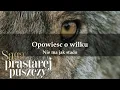 Download Lagu Saga prastarej puszczy 01 Opowieść o wilku Nie ma jak stado