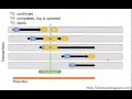 SQL Server Recovery Process - Dinesh Priyankara