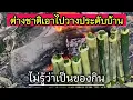 Download Lagu ต่างชาติเข้าใจผิด! นึกว่า \