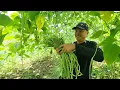 Download Lagu Rất Vui Mừng Sau Hơn Một Tháng Trời Thành Quả Được Như Thế Này | TTVLog