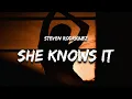 Download Lagu Steven Rodriguez - She Knows It (Lyrics)