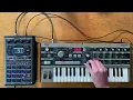 Download Lagu Quirky Experimental Live Jam | SP404mkII + MicroKorg