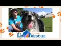 16 To The Rescue Phillip