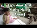 Lagu Lagu anak-anak, kucing meong meong,,,