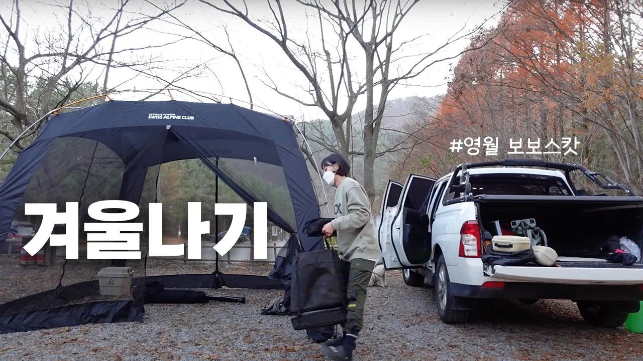 단풍시즌엔 꼭 여기가세요.. 너무 좋아서 2번 간 캠핑장에서 파세코 난로개시ㅣ애견동반ㅣ영월 보보스캇 캠핑장 썸네일