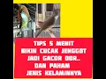 Download Lagu CARA MERAWAT CUCAK JENGGOT AGAR GACOR DOR,BERIKUT PENJELASAN KARAKTER DAN JENIS KELAMINNYA