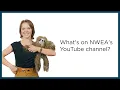 Your resource for MAP Growth testing info Subscribe to NWEA s sloth included