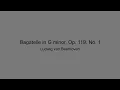 Bagatelle in G minor (Op. 119, No. 1) - Ludwig van Beethoven