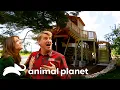 The Craziest Treehouses of SEASON 5 Treehouse Masters Animal Planet