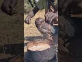Download Lagu Suku primitif afrika