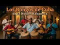 Lagu Los Bongós de Cuba: El Pulso Íntimo de la Noche Habanera 🥁🌙🇨🇺