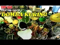 Download Lagu ROP LIVE | ADE ASTRID - DOMBA KURING