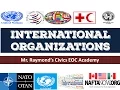 International Organizations - 4 2 Governmental and NGOs