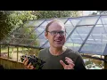 Make Your Own Potting Soil Mix - Save Money, Boost Your Plants!