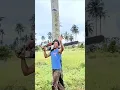 Lagu Ngamuk,‼️Pohon kelapa di tebang