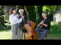 Download Lagu Trio d'Amour - live muziek die raakt – stijlvol, persoonlijk en perfect afgestemd op jullie dag!