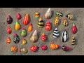 Download Lagu Wadidaw! Mencari kaki seribu, luwing, siput, ikan hias, ikan, bekicot, kura kura bebek lucu,kelomang