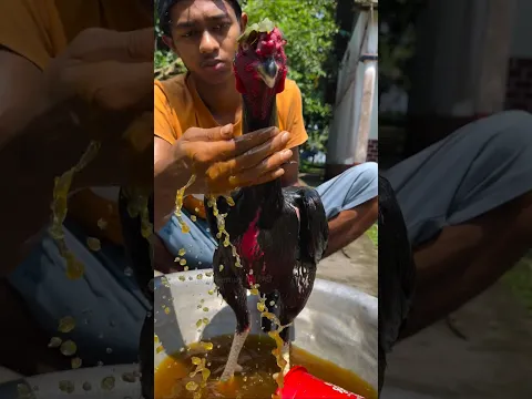 Why is the chicken's neck steamed? #shorts