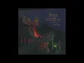 Iron Griffin - Curse of the Sky (2019)
