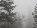 (Slowed-Downtuned) Opeth - Burden