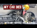Download Lagu MY CAR DIED!!  (With my service dog in it)