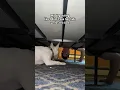 Download Lagu Nice try pal #dogs #sneaky #funny #cute #brainrot