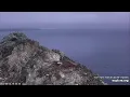 Fledgling Eagle Fly By Two Harbors Overlook Catalina Explore org 8-14-23