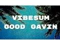 Download Lagu Vibesum: Good Gavin