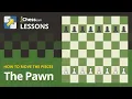 The Pawn How to Move the Chess Pieces