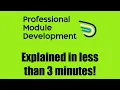 What is Professional Module Development in less than 3 minutes