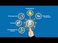 Banking Systems - Animated Explainer