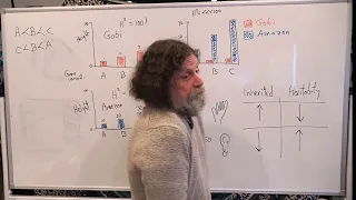 8 Human Behavioral Biology Behavioral Genetics 2 by Robert Sapolsky