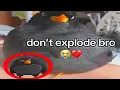 Animal Memes