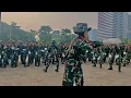 Download Lagu Tentara wanita Indonesia yel yel 
