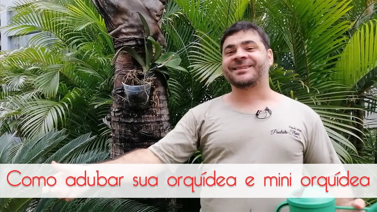COMO ADUBAR ORQUÍDEAS E MINI ORQUÍDEASL
