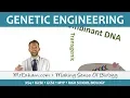 Genetic Engineering - GCSE Biology 9-1