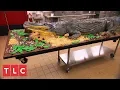 Making a 14-Foot Alligator Cake Cake Boss