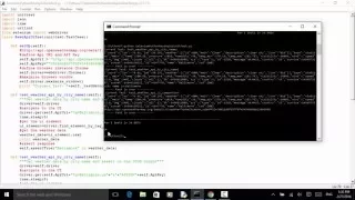 Selenium Python Webdriver Tutorial - REST API UI Verification