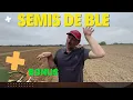 Download Lagu Semis de blé et bonus