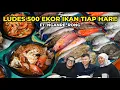Download Lagu Saking Baiknya Sampe Disuapin Sama yang Jual! Seafood Paling Enak di Makassar, Ludes 500 Ekor Ikan!