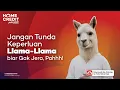 Part 2. Jangan Diundur-Undur, Pah! Waktunya #BuruanJadiin Bareng Home Credit | Home Credit Indonesia
