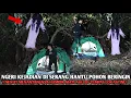 Download Lagu Camping horoR Ngeri Serangan hantu Paling Berutal akibat Nekat menantang sosok iblis Pohon beringiN