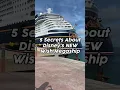 DISNEY WISH SECRETS