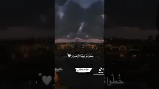 طل ابن القدس المغوار 