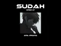 Download Lagu sudah - ara johara (speed up)