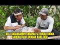 Lagu RELA DAGANGANNYA DIBAYAR SETENGAH HARGA KARENA TAKUT DENGAN KANG DEDI #kangdedimulyadi #dedimulyadi
