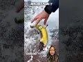 Download Lagu Mengobati pisang?! #funny #experiment #banana #pisang