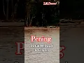Download Lagu Pening - Datuk M.Daud \u0026 Ezlynn