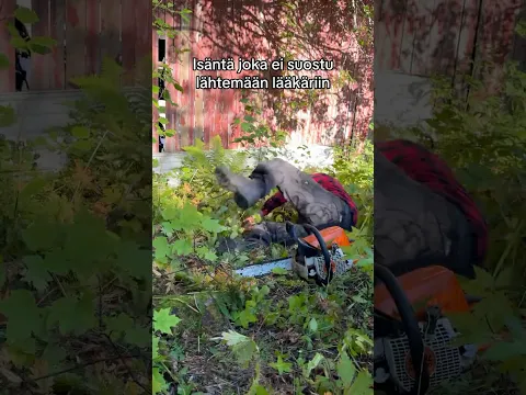 Isäntä joka ei suostu lähtemään lääkäriin